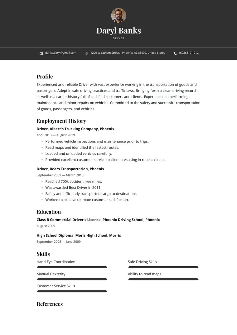 Template Preview 1 resume template preview